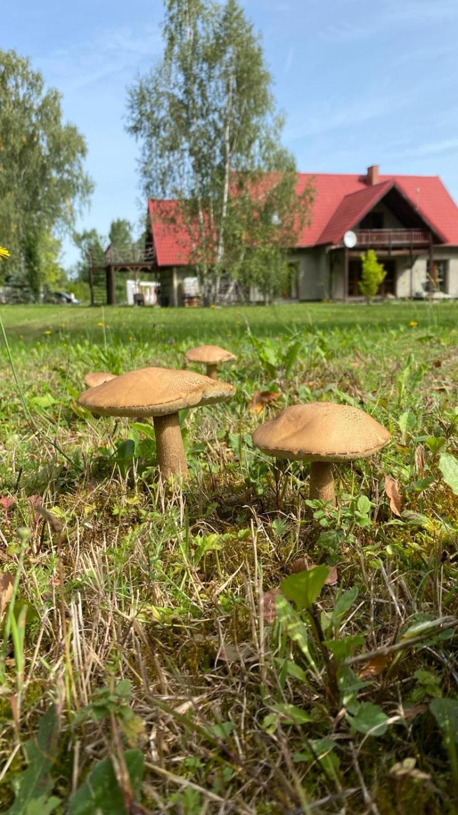 Anielski Zakatek Kolonia Rybacka Esterno foto